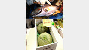 19억 참치-750만원 멜론… 입 벌어지는 日 ‘경매마케팅’