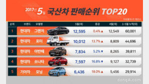 5월 국산차 판매… 굳히기 들어간 ‘그랜저’·순조로운 ‘G4 렉스턴’