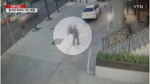 ‘호식이 두 마리 치킨’ 최호식 회장, 강제추행 피해 여성 고소 돌연 취하