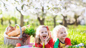 드론 날리며 피자를…임피리얼팰리스‘플라잉 피크닉’