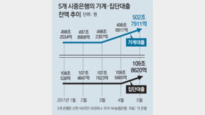 “LTV-DTI 일률 규제땐 부작용… 과열지역 중심으로”