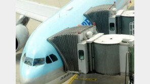 檢 오늘 새벽 3시26분 파리발 인천행 대한항공서 유섬나 체포영장 집행  