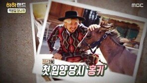 ‘하하랜드’ 노홍철, 당나귀 ‘홍키’ 입양한 이유 들어보니…