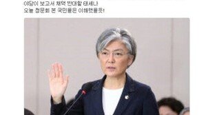 이석현 “강경화 후보자 청문회, 의혹 많지만 내용 별 것 없어…국민들 이해할 듯”