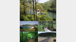 몸과 마음 치유, 사계절 보약같은 휴양림 어때요