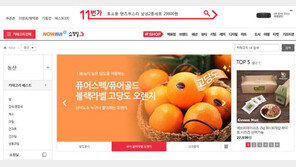 11번가 신선식품 주요고객은 경기도민