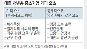 [청년 일자리 동향]청년들이 중소기업 안가는 이유, 임금 격차 때문 아니었네