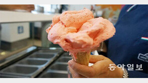 4년 못지않은 4주… 伊명물 젤라토 ‘맛의 비법’ 배운다