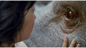 [시선 남과여④] ‘옥자’ 이후…VR 새로운 플랫폼으로 주목