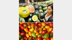 色다른 노란수박 “맛도 영양도 만점”