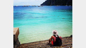 책·기타부터 여행·낚시까지…프로골퍼들의 행복한 힐링