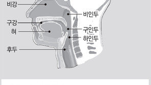 [단독]까맣게 모르는 ‘두경부암’… ‘얼굴부위 암’ 6년새 28% 늘어 