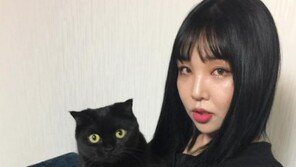 “힙합이 방패? 고소취하 NO”…키디비, 블랙넛과 끝장 본다