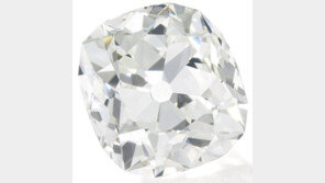 1만원 주고 산 모조 다이아 반지, 알고보니 9억짜리 ‘진짜’