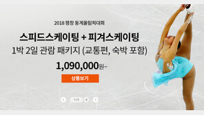 “평창올림픽, 외국서 열리나요?”… 터무니없는 패키지 가격 ‘눈살’