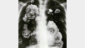 가인, SNS 게시물 모두 삭제…새로 올린 게시물은?