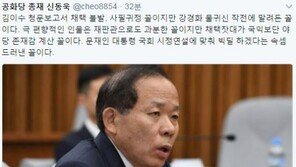 김이수 청문보고서 채택 불발, 신동욱 “국익보단 야당 존재감 계산”