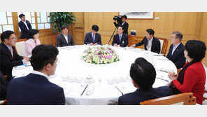 협치 강조한 문재인 “野에 한미정상회담 동행 제안을”