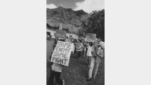 [책의 향기]낯설지 않은… 하와이의 빼앗긴 역사