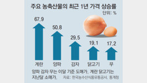 계란에 양파값까지, 밥상 흔드는 AI-가뭄