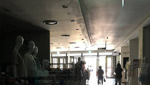 신호등-승강기 스톱… 휴일 대낮 정전 날벼락 