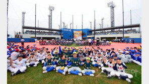 매향리 미군 사격장, 亞최대 리틀야구장으로