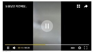 “7번째 손님은 무료”…자비로 치킨 선물한 20대 배달원에 칭찬 쇄도