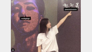 설리, GD 비공식 계정 태그…누리꾼 “친한 거 과시?”vs“별 거 아닌데”