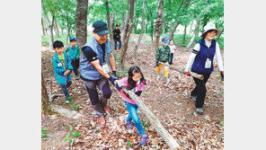 영남대 숲 체험 학교