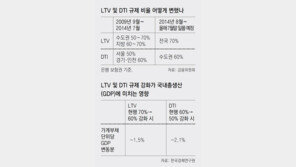 김현미 “LTV-DTI, 지역-계층 감안 개편”… 선별적 강화 시사