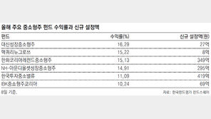 코스닥 훈풍 불자 중소형株 펀드 뭉칫돈