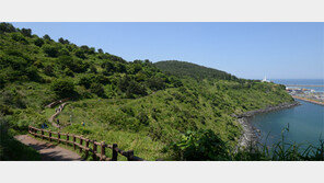 강화 돈대길 따라 ‘호국’… 공주 백범길 따라 ‘애국’