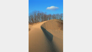 살림 아티스트 효재, 코레일과 함께 지역 관광 활성화 나선다