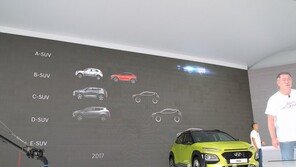 현대차, ‘에스컬레이드급’ 대형 SUV 만든다… 2020년 라인업 완성