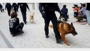 [속보] ‘연세대 폭발물’ 용의자 긴급 체포…피해 교수 학과 학생