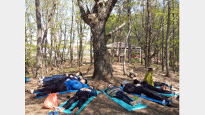 강원랜드에서 천연 생태자원과 힐링∼