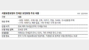5억원 넘는 집에 거주하는 세입자도 주인 동의없이 전세금 보장보험 가입