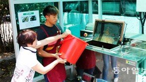 제주도는 지금 음식물쓰레기와의 전쟁