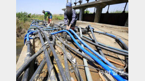 극심한 가뭄에 양수기로 논에 급수