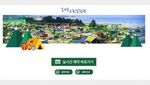 “캠핑족, 모여랴”…송지호 오토캠핑장 14일(오늘) 9시 예매, 가격은?