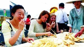 [제5회 한국축제&여행박람회]생명의 뿌리 인삼, ‘금산’의 이름으로 글로벌 날개