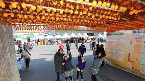 [제5회 한국축제&여행박람회]지리산 햇살 머금은 최고의 건강 선물, 산청곶감 