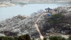 [제5회 한국축제&여행박람회]봄꽃의 첫 만남, 섬진강따라 매화향에 취하다 