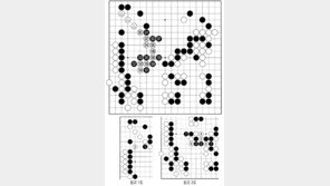 [바둑]알파고 vs 알파고 특선보… 포위망에 갇힌 백
