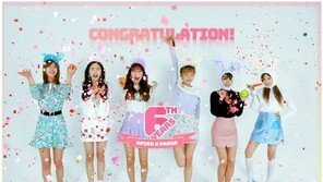 에이핑크, 살해 협박 전화 받아…소속사 “경찰에 신변보호 요청” 