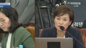 김현아 “부동산 투기 적발 無, 무슨 단속을 예고하나”…김현미 “정책 알려주는 기능”
