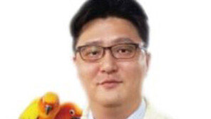 반려견과 산책할땐 ‘힐 포지션’ 가르치세요