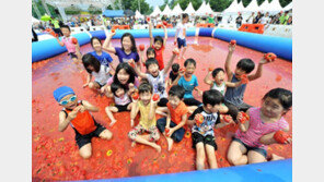[엄마·아빠 어디가] 퇴촌 토마토 축제