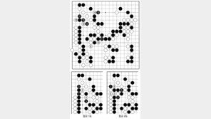 [바둑]알파고 vs 알파고 특선보… 미스터리