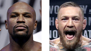 진짜 붙는다, 4각-8각 링의 제왕들